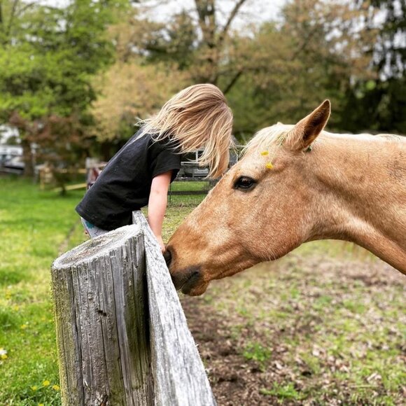 Meet your Posher, Robin - Picture 1 of 1